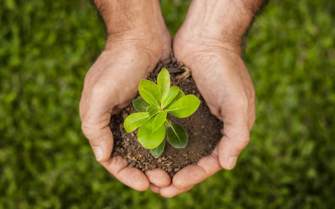 OFICINA MUNICIPAL DE MEDIO AMBIENTE Y RECURSOS NATURALES, FOMENTO ECONOMICO Y TURISMO.